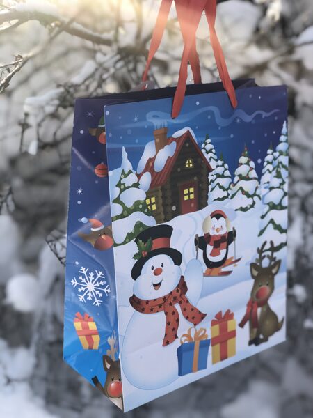 Winter Friends / Ziemas draugi _ L