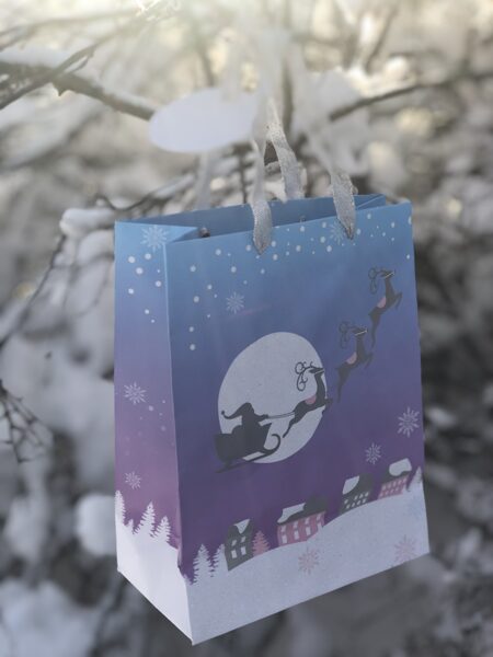 Atmospheric Christmas/Ziemassvētku noskaņas  _ M