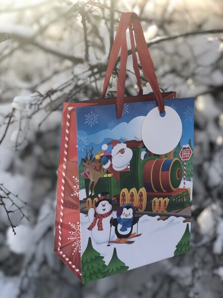 Christmas Train/Ziemassvētku vilciens  _ M