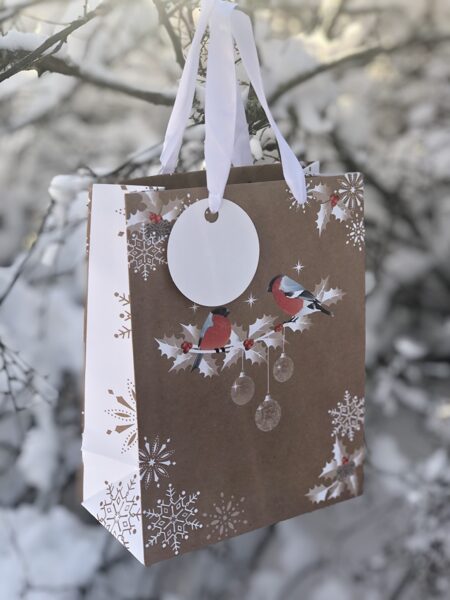 Christmas Birds/Ziemassvētku putni _ M