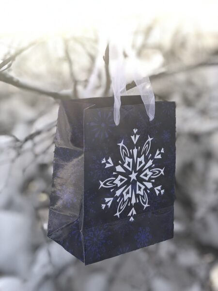 Shiny Snowflakes/Spīdīgas sniegpārslas _ S 