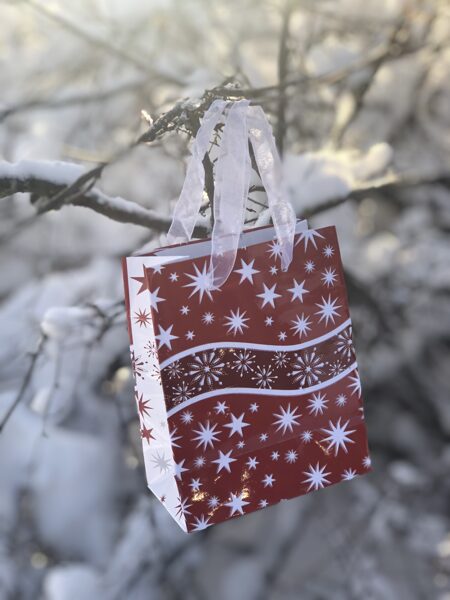 Shimmering Stars/Mirdzošas zvaigznes _ S 